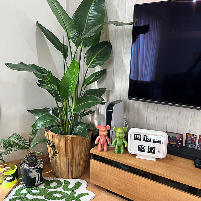 sb⭐テレビ台 観葉植物のディスプレイに - テレビ台・テレビボード sb⭐テレビ台 観葉植物のディスプレイに - テレビ台・テレビボード