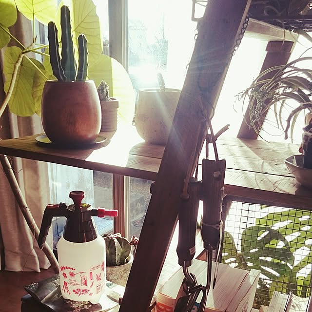 takenさんの実例写真