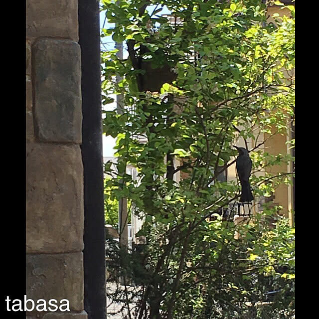 tabasaさんの実例写真