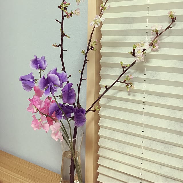 m3051kさんの実例写真
