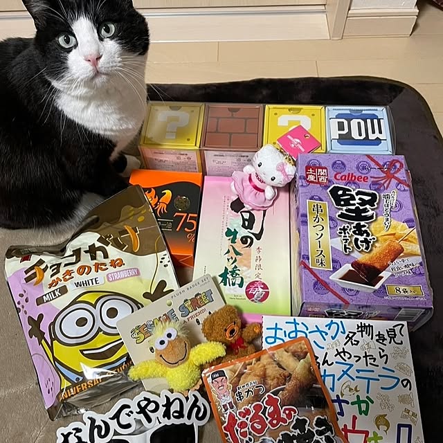 koromaroさんの実例写真