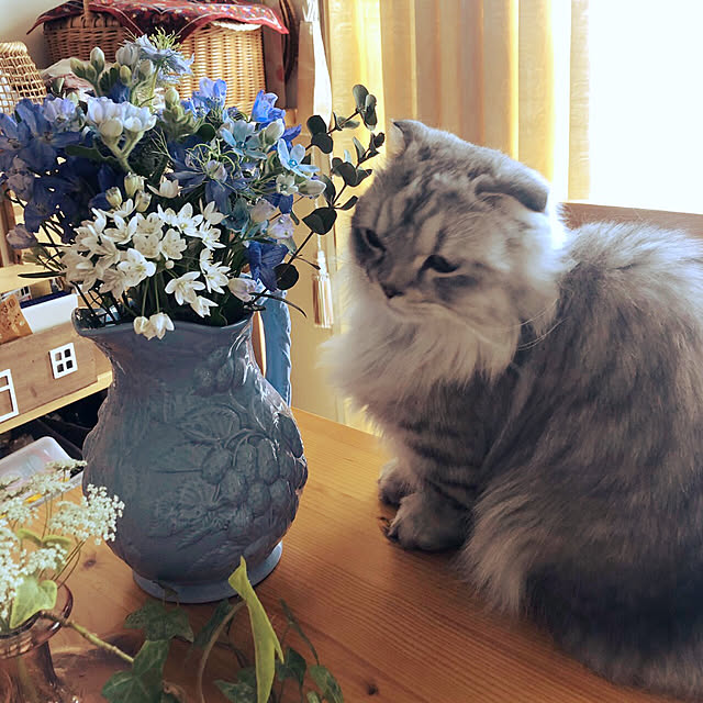 hirominさんの実例写真