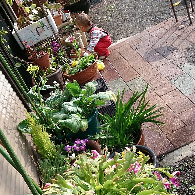 kikuさんの実例写真