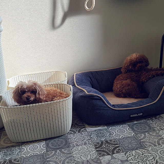 tiaraさんの実例写真