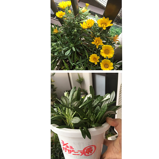 nanaさんの実例写真