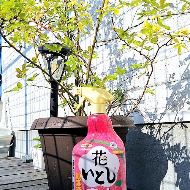 prettychieさんの部屋