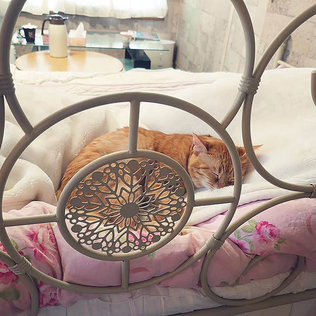 asuminさんの実例写真