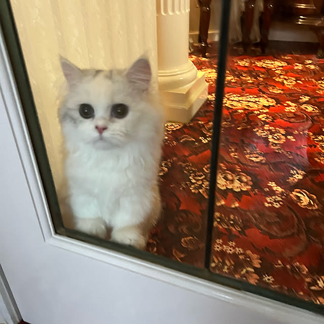 AYUKOさんの実例写真