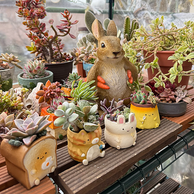 Aqettyさんの部屋