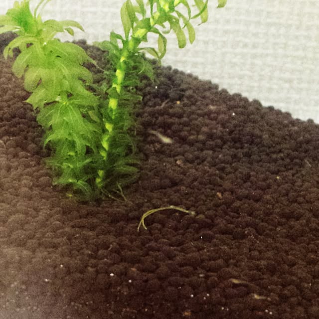 masax_xさんの実例写真