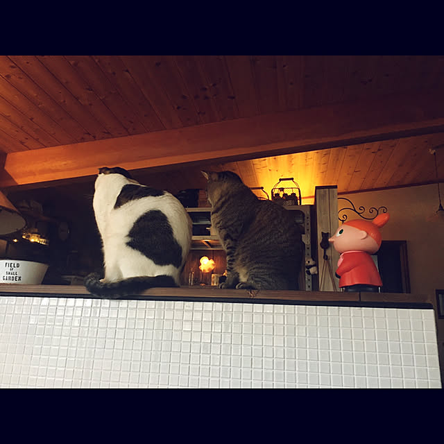 marusanさんの実例写真