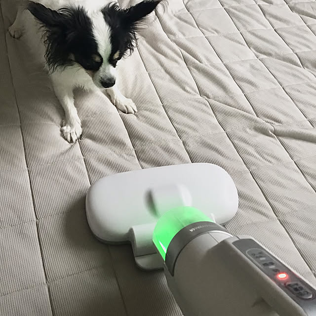 sakuさんの部屋