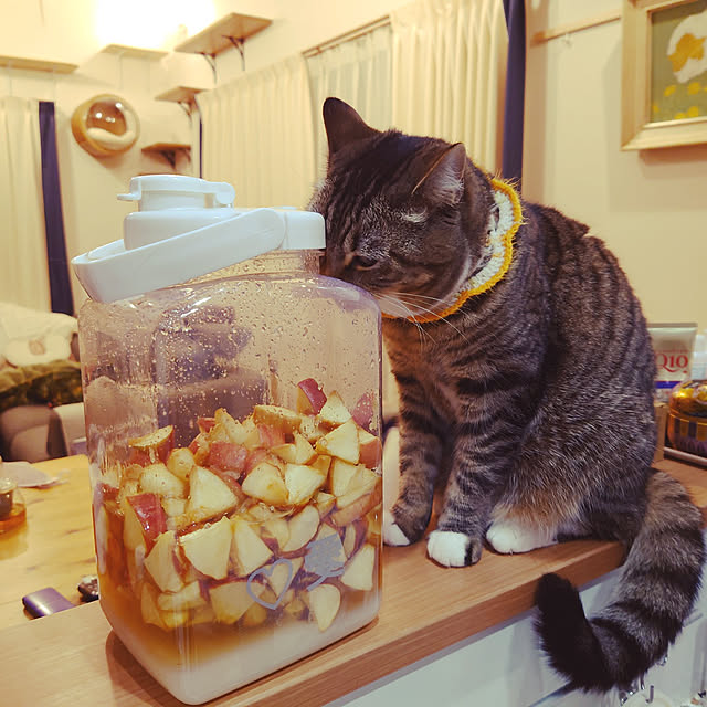 mochicoさんの実例写真