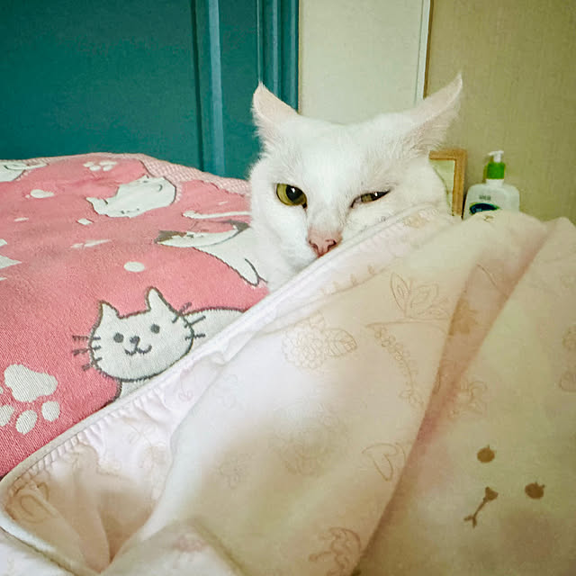 pcu110さんの実例写真