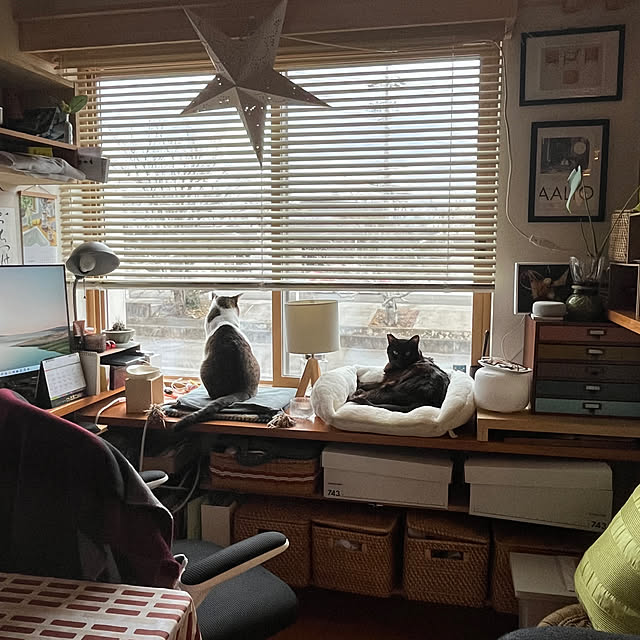 shizi195さんの実例写真