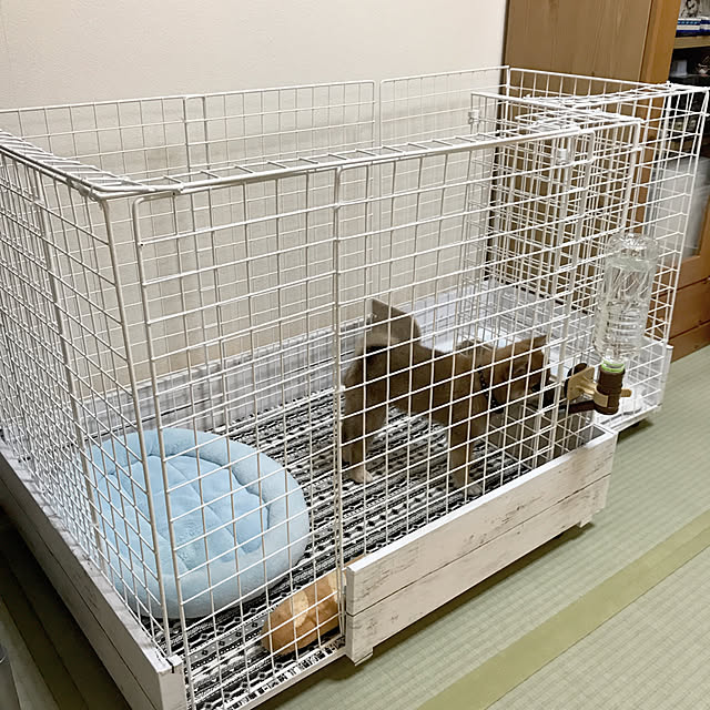 KIYOさんの実例写真