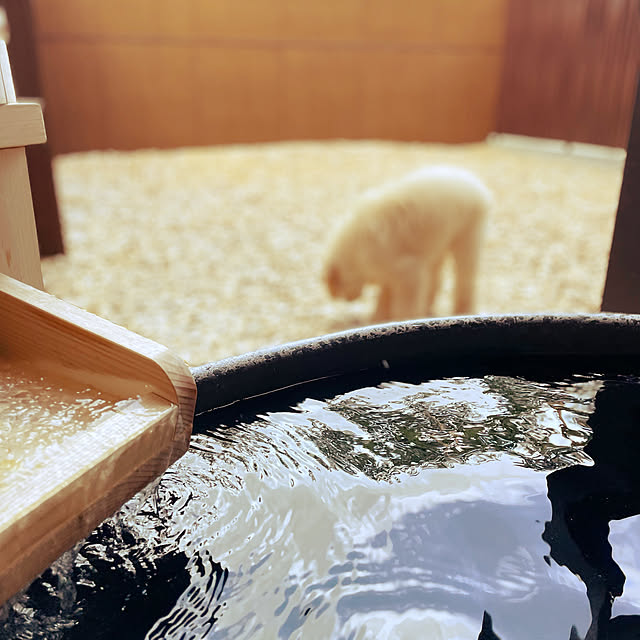 nackeyさんの実例写真