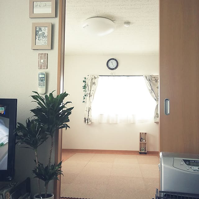 powakyonさんの実例写真