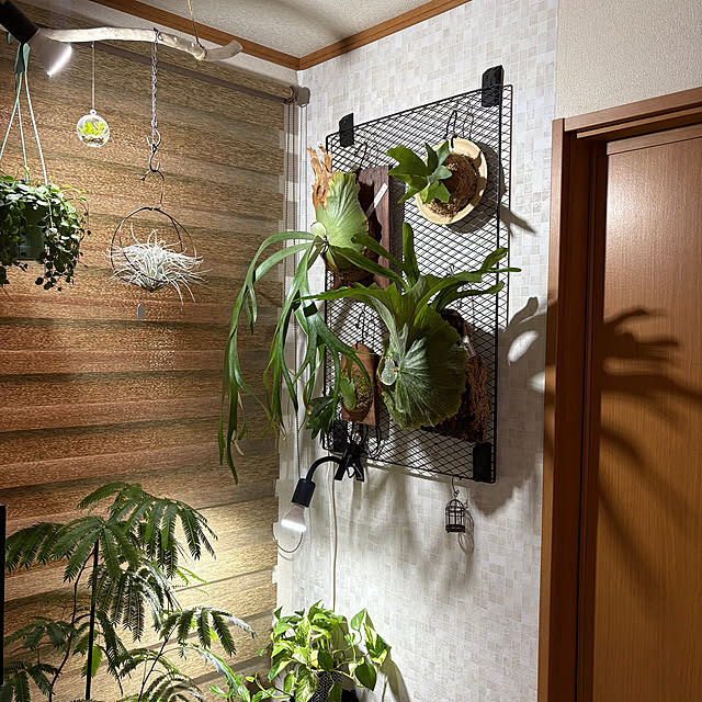 CoffeeHouseさんの実例写真