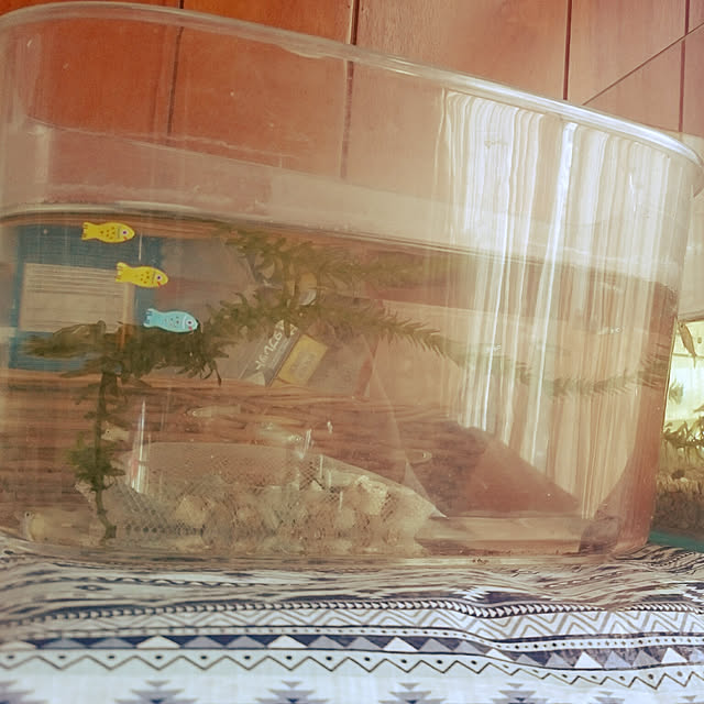 SHOさんの実例写真