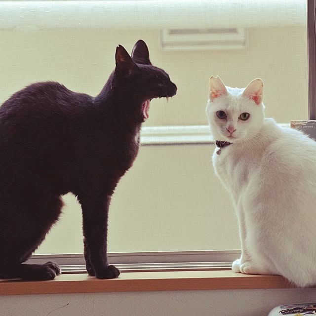 S-CUBEさんの実例写真