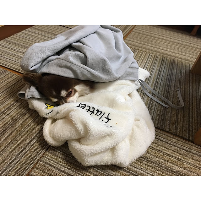 chIoeさんの実例写真