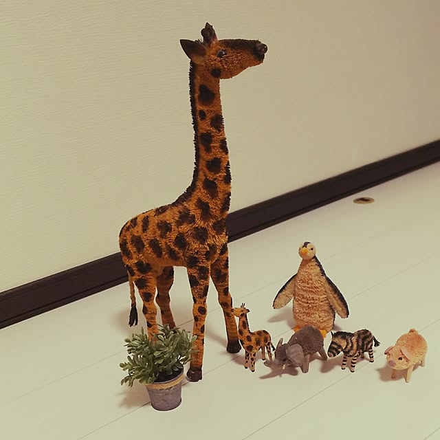 kojikojiさんの実例写真