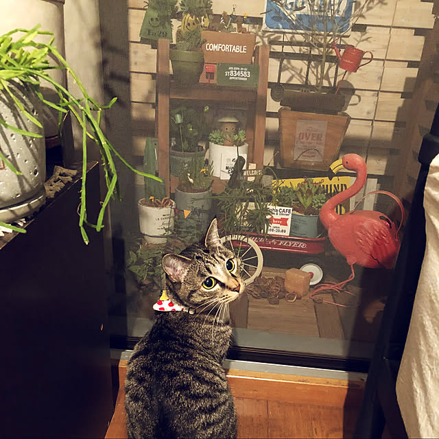 mit_iさんの実例写真