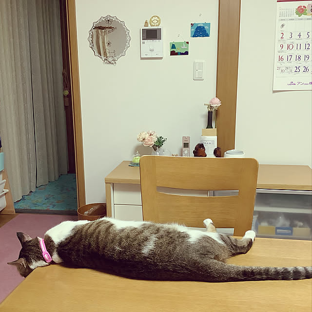 haruminさんの実例写真