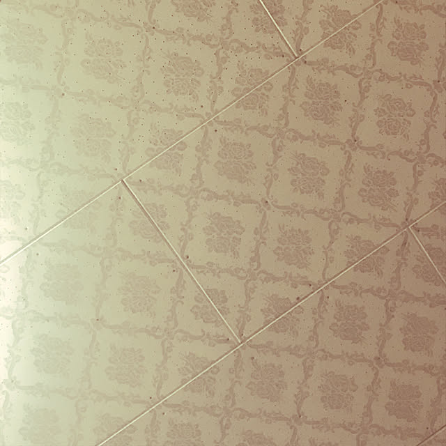syurugaさんの実例写真