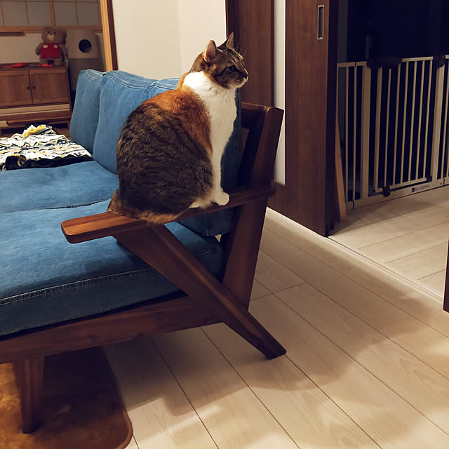 nnk.akさんの実例写真