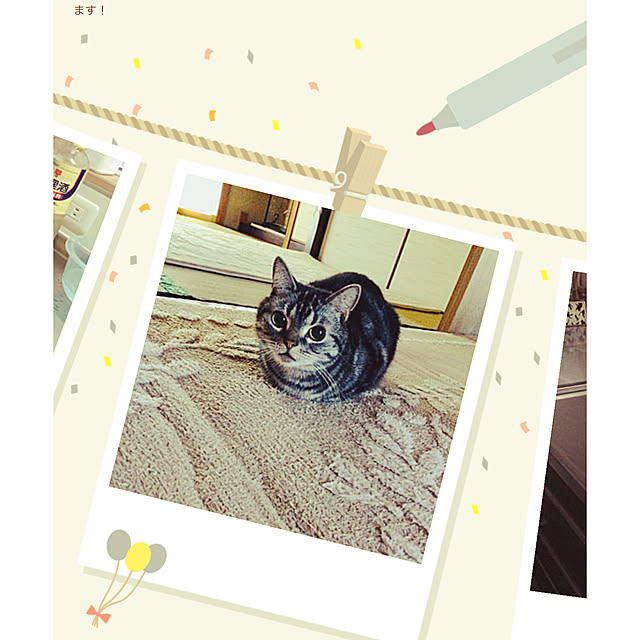 richanさんの実例写真