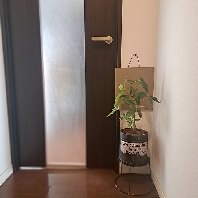 shinoさんの部屋