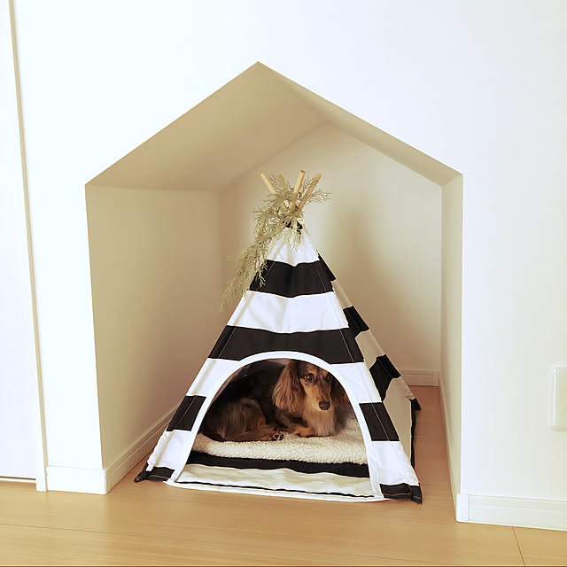 cocoaさんの実例写真