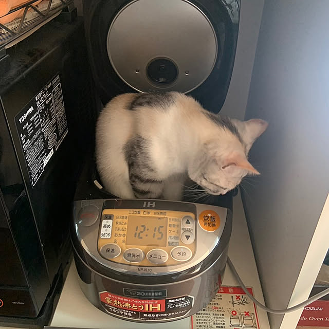 hansho.sさんの実例写真