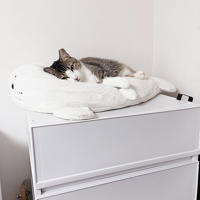 nekomiさんの実例写真