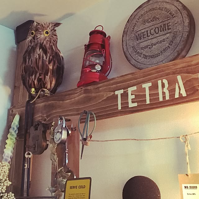 tetra163さんの実例写真