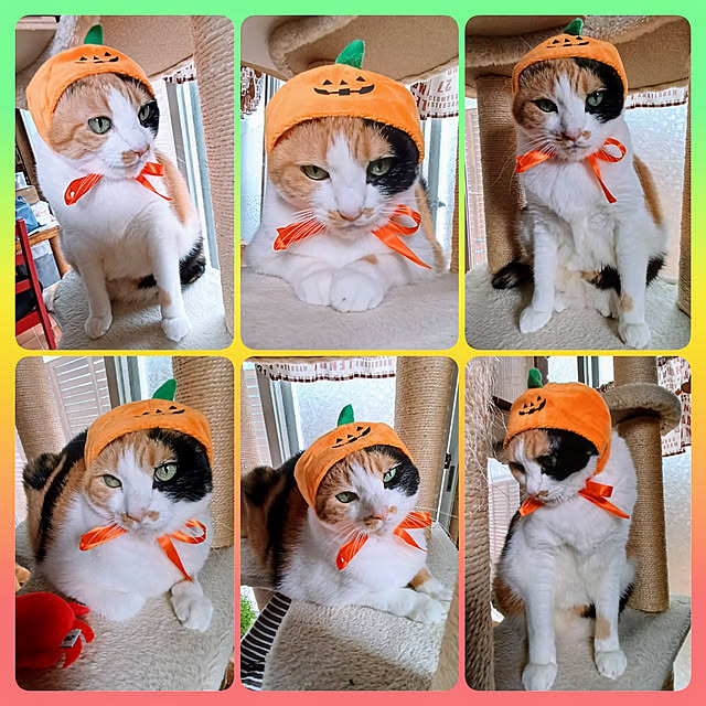 nanaさんの実例写真