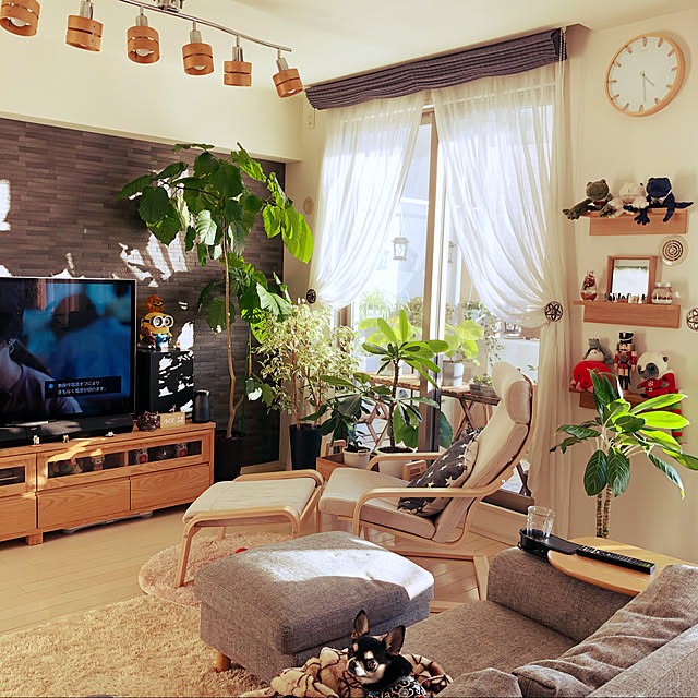 skymomongaさんの実例写真