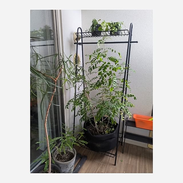 keksmさんの実例写真