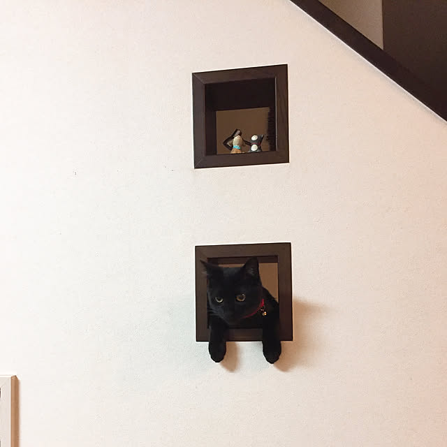 nanaさんの実例写真