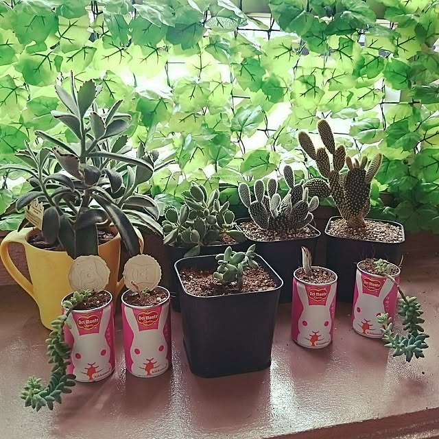 mukuさんの実例写真