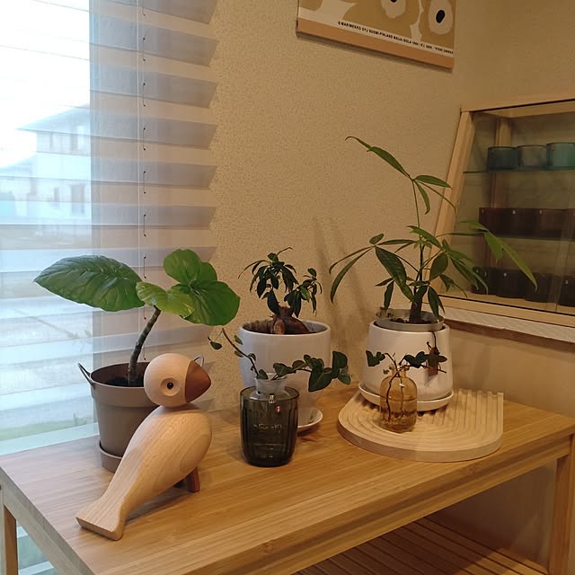 tan5さんの部屋