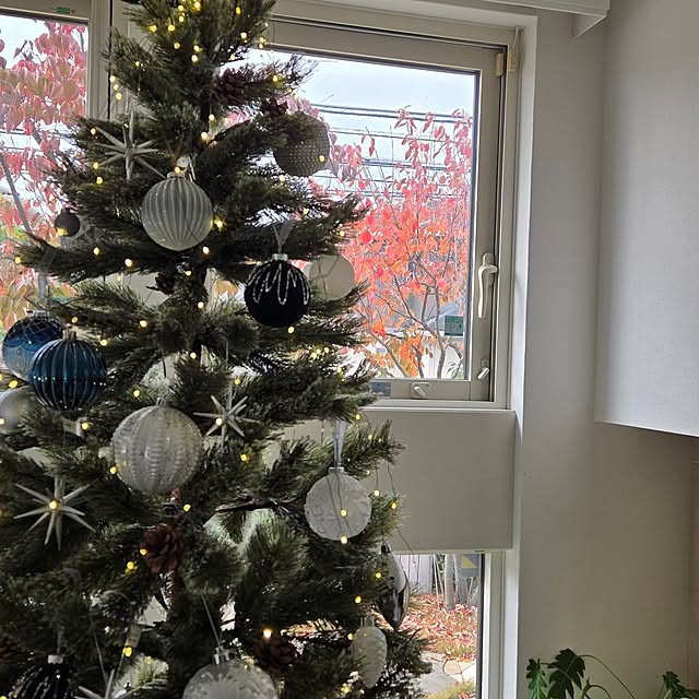 mutyukingさんの実例写真