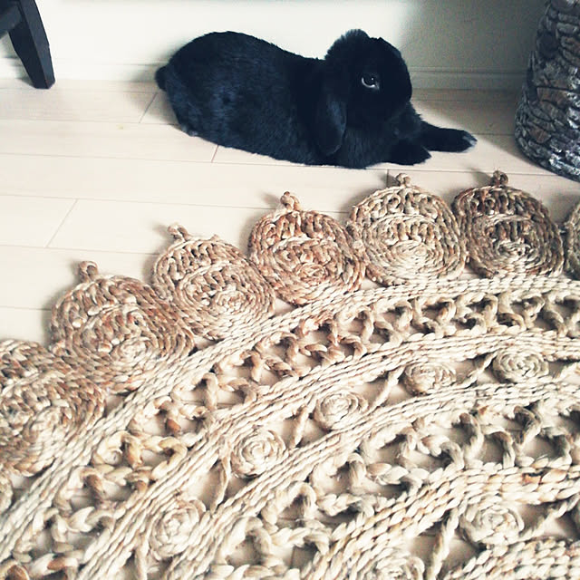 coco.Apartmanさんの実例写真
