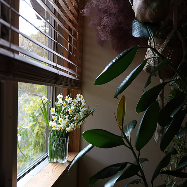 sugomoliさんの実例写真