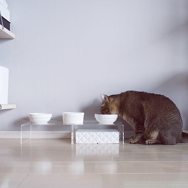 Reikoさんの実例写真