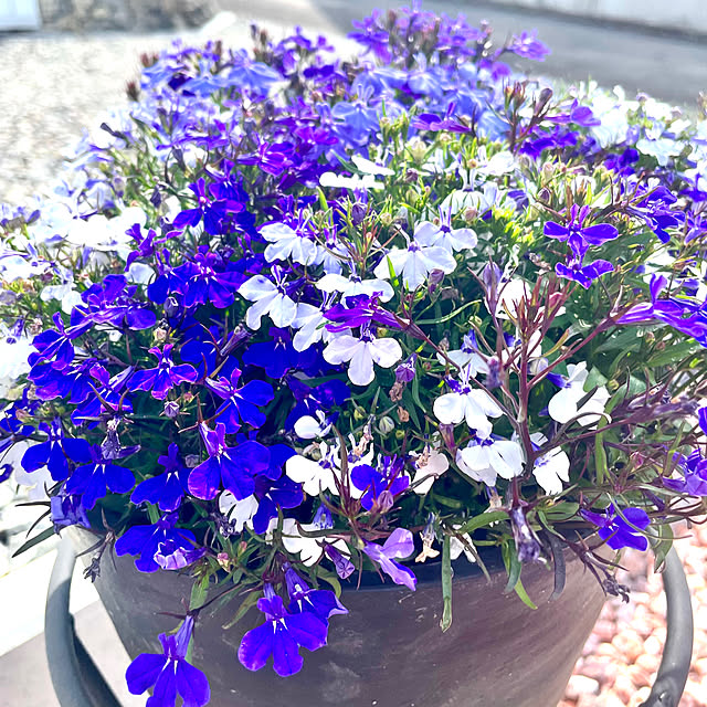 k.mariaさんの部屋