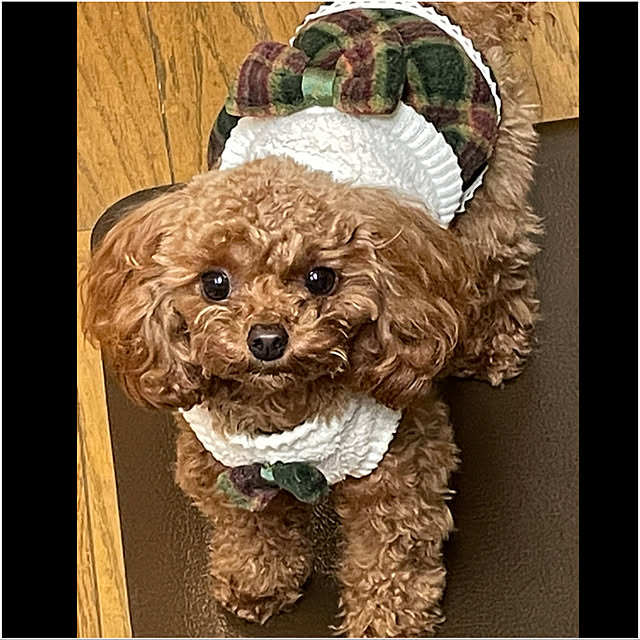 mamizaさんの実例写真