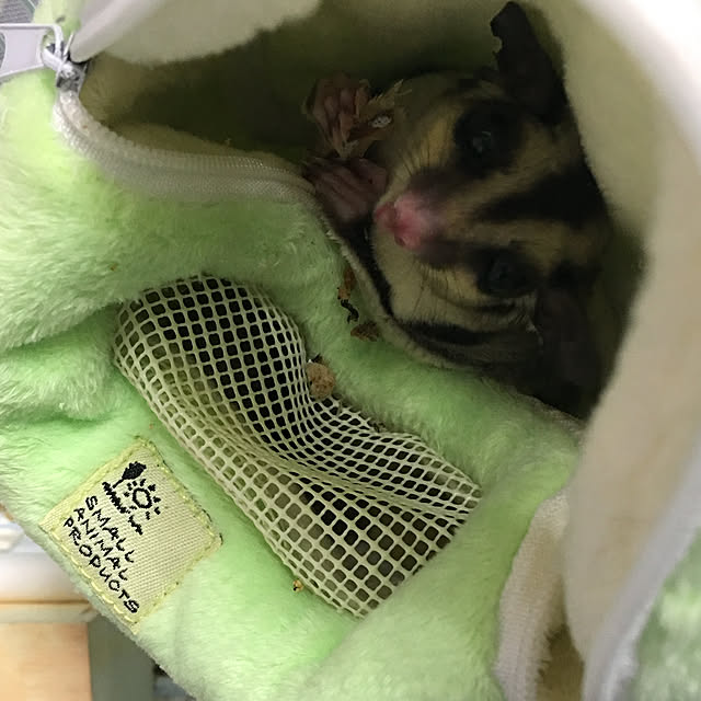 Shoさんの実例写真